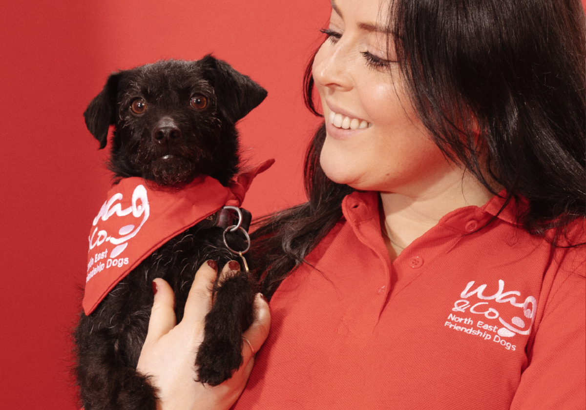 Wag volunteer with a small black dog wearing a neck scarf 