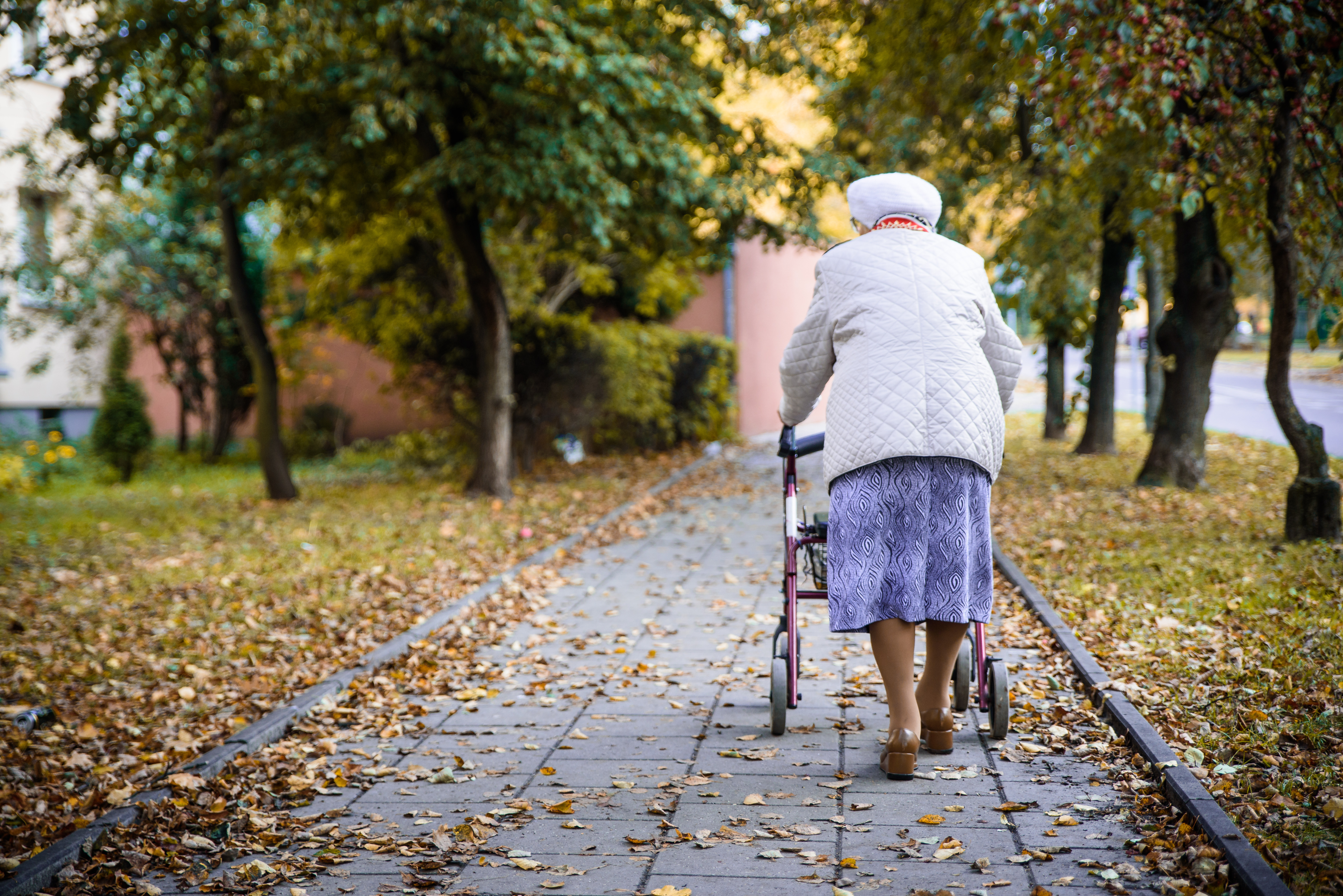 Older adult walking outdoors with a rollator walker – rollators provide elderly parents with stability, support, and a seat for resting during longer walks or trips outside the home.