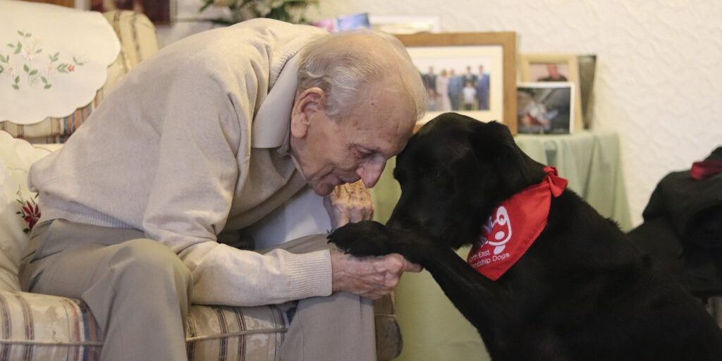 An elderly man stroking a dog 