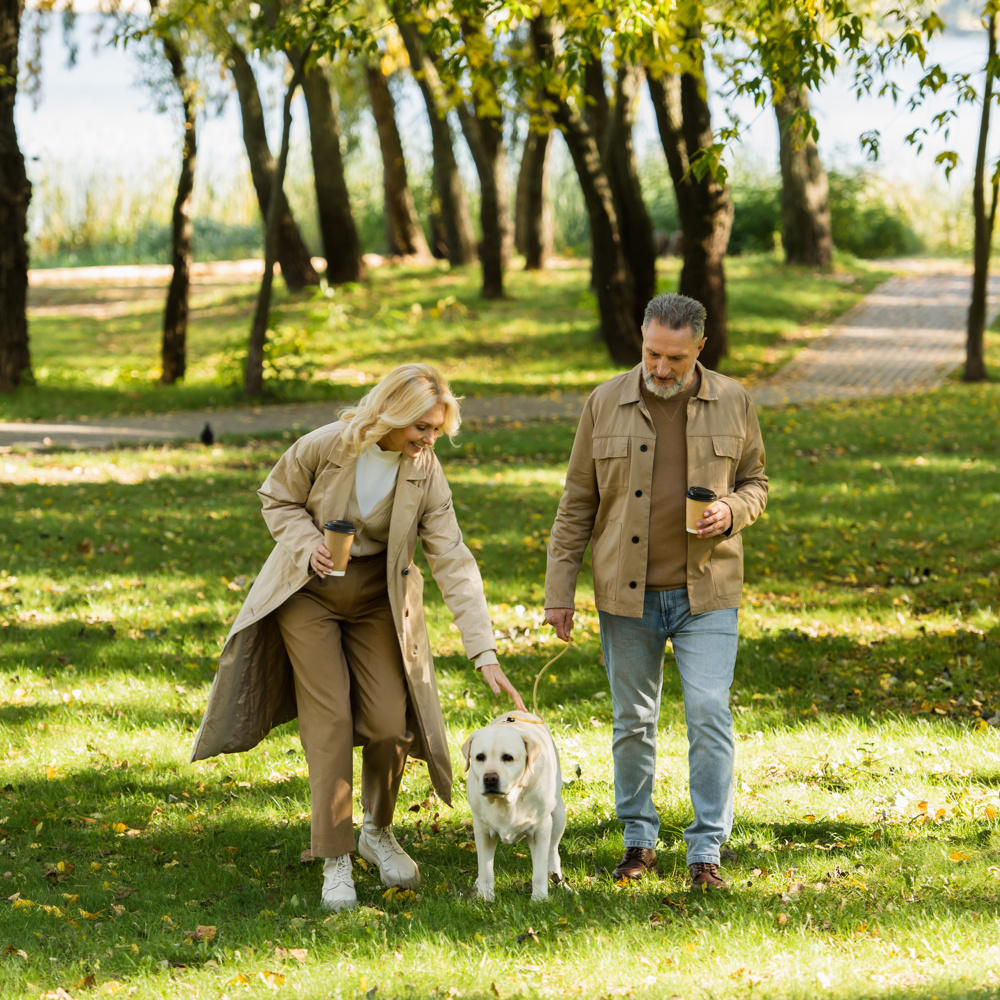 Taking a Break: Carents Enjoying Time Outdoors – A mature couple enjoys a peaceful walk in a lush green park, holding coffee cups while walking their golden retriever. A reminder of the importance of fresh air, companionship, and personal wellbeing for those supporting an ageing parent.