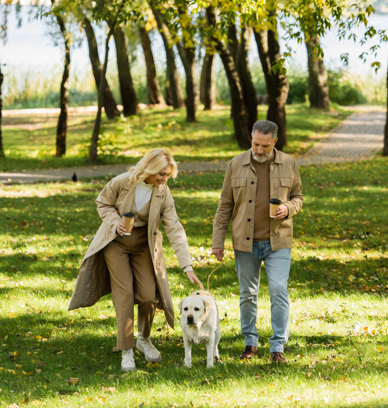 Taking a Break: Carents Enjoying Time Outdoors – A mature couple enjoys a peaceful walk in a lush green park, holding coffee cups while walking their golden retriever. A reminder of the importance of fresh air, companionship, and personal wellbeing for those supporting an ageing parent.