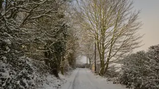 Snowy lane. Represents the cold, that your elderly parent will be particularly susceptible to. 