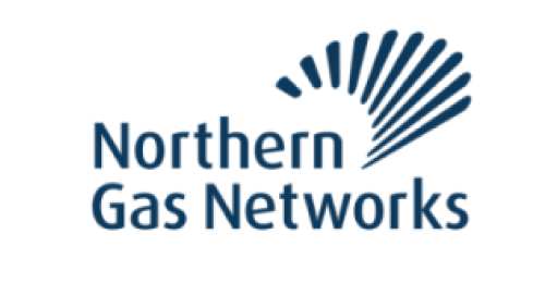NGN Logo