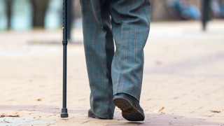 Man with walking stick