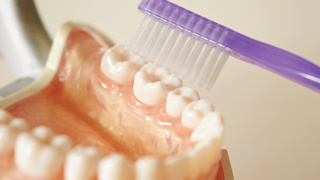 Choosing a denture brush for an elderly parent can be tricky 