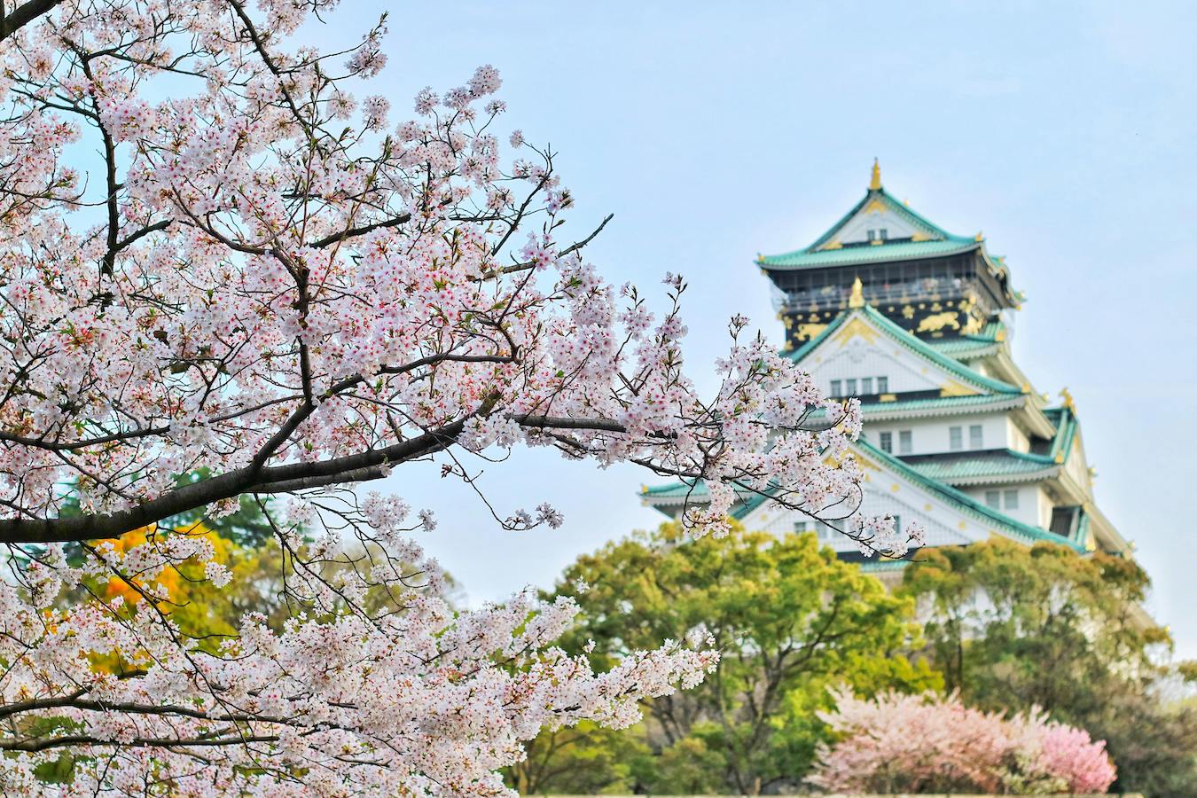 Building with a blossom tree 