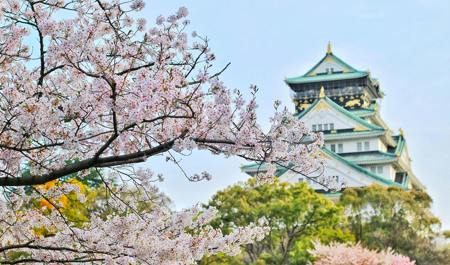 Building with a blossom tree 