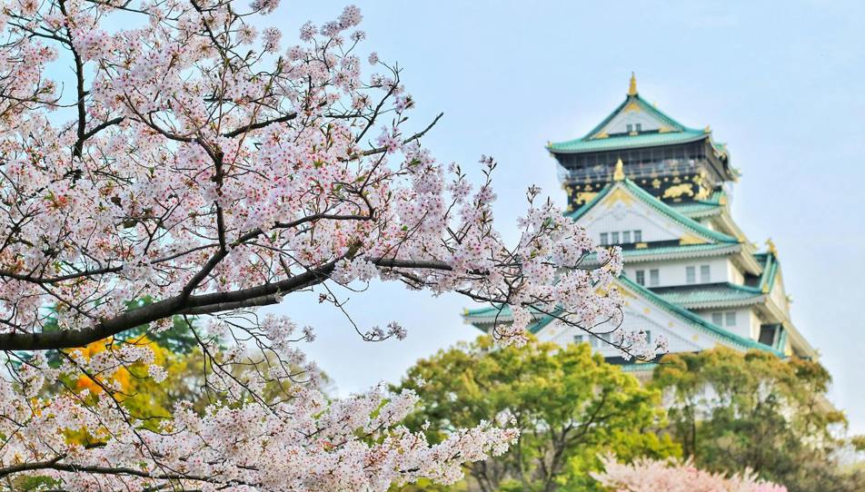 Building with a blossom tree 